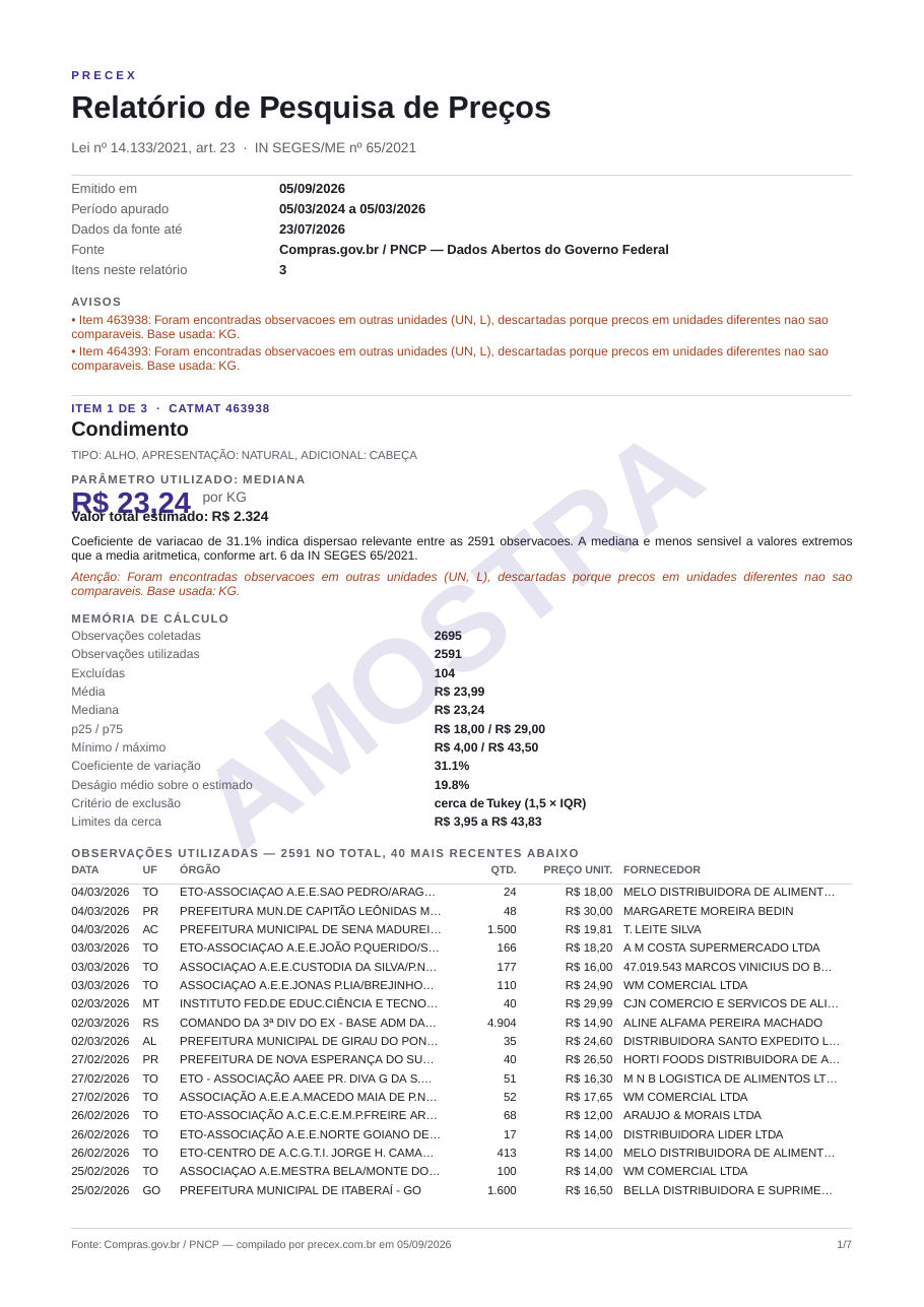 Capa e parâmetro utilizado — página do relatório de exemplo